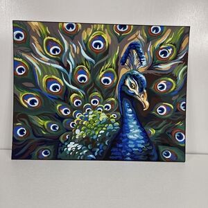 Wild Feathers Finished Acrylic Paint By Number 14x11 Whimsical Peacock Nature VT